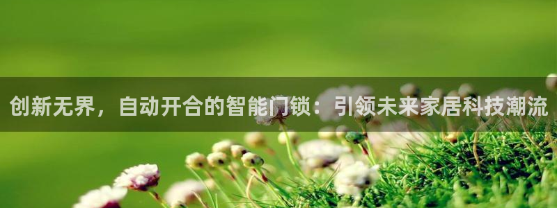 JDB电子能有多假：创新无界，自动开合的智能门锁：引领未来家