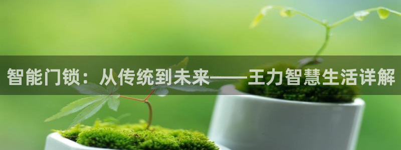 jdb五龙捕鱼吐分规律：智能门锁：从传统到未来——王力智慧生