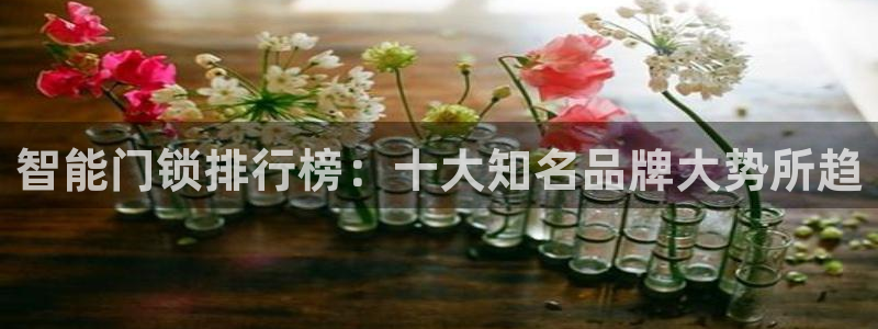 jdb电子游戏麻雀无双大奖视频：智能门锁排行榜：十大知名品牌