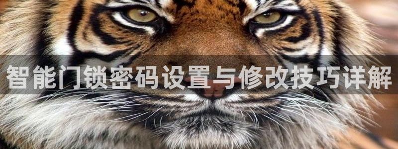 jdb游戏超级大奖视频在线播放：智能门锁密码设置与修改技巧详