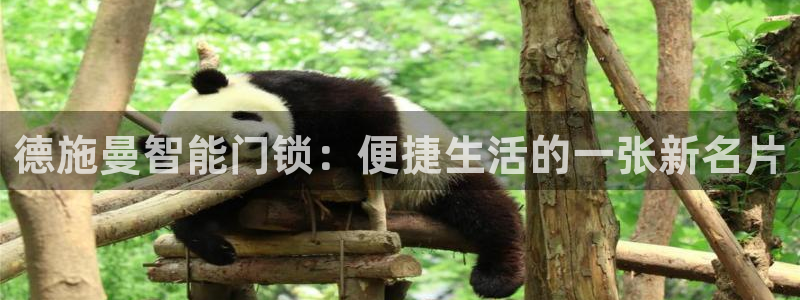 jdb1688电子：德施曼智能门锁：便捷生活的一张新名片