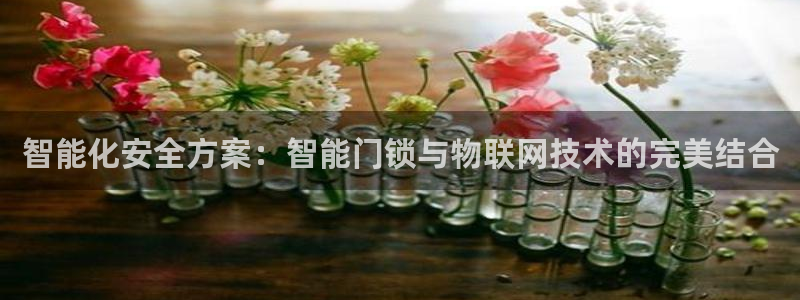 jdb电子网站：智能化安全方案：智能门锁与物联网技术的完美结