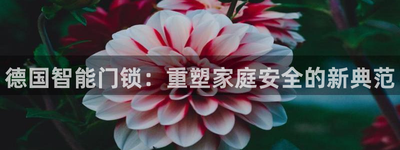 jdb电子平台注册：德国智能门锁：重塑家庭安全的新典范
