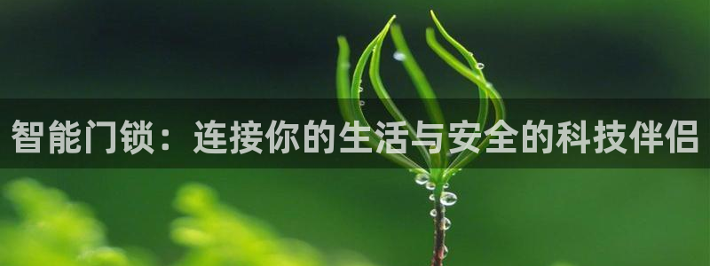 jdb试玩网站：智能门锁：连接你的生活与安全的科技伴侣