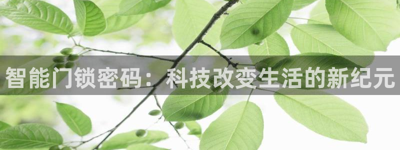 jdb电子娱乐：智能门锁密码：科技改变生活的新纪元