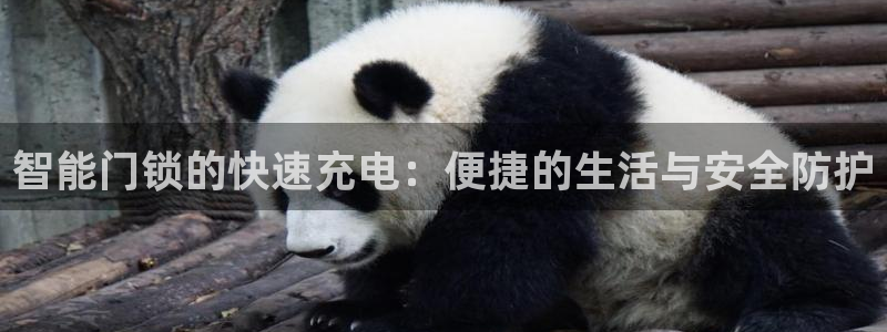 jdbapp下载：智能门锁的快速充电：便捷的生活与安全防护