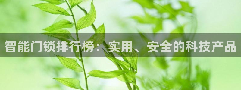 jdb电子王牌特工大奖视频：智能门锁排行榜：实用、安全的科技