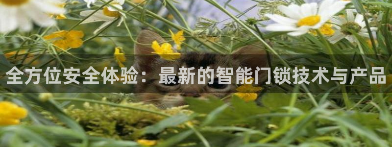 jdb电子注册送38：全方位安全体验：最新的智能门锁技术与产