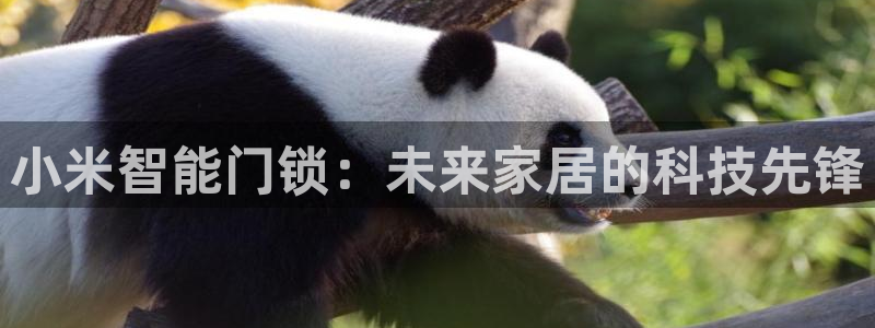 jdb五龙捕鱼瓒ly7 9。cn：小米智能门锁：未来家居的科