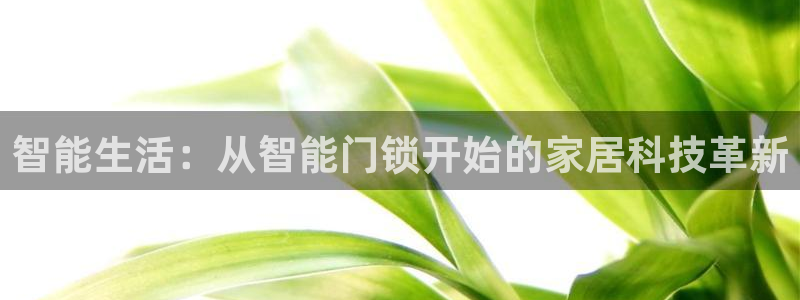 夺宝jdb电子变脸：智能生活：从智能门锁开始的家居科技革新