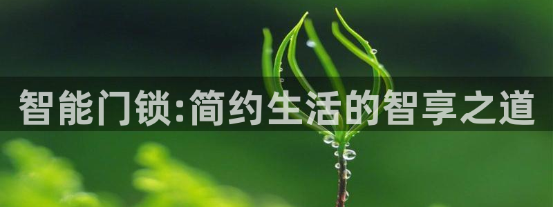 jdb电子哪个好赢钱：智能门锁:简约生活的智享之道