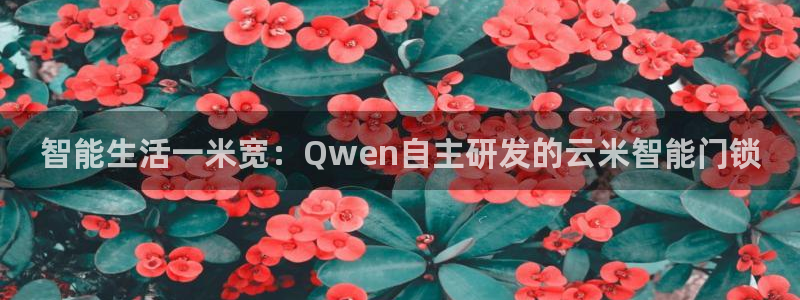 jdb采矿宝贝爆分：智能生活一米宽：Qwen自主研发的云米智