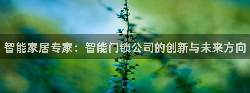 jdb电子必输：智能家居专家：智能门锁公司的创新与未来方向