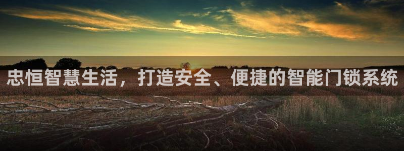 jdb电子有多坑：忠恒智慧生活，打造安全、便捷的智能门锁系统