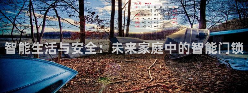 jdbc在哪下载：智能生活与安全：未来家庭中的智能门锁