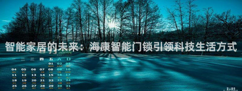 jdb是什么平台：智能家居的未来：海康智能门锁引领科技生活方