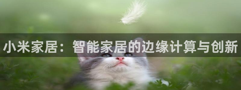 jdb变脸48个：小米家居：智能家居的边缘计算与创新