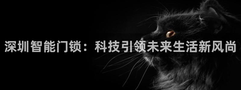 jdb电子游戏修改器：深圳智能门锁：科技引领未来生活新风尚