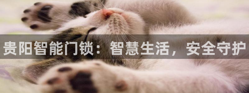 jdb飞鸟派对大奖视频：贵阳智能门锁：智慧生活，安全守护