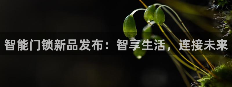 jdb电子游艺：智能门锁新品发布：智享生活，连接未来