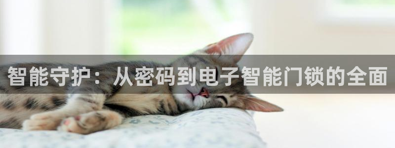 jdb变脸电子游戏技巧：智能守护：从密码到电子智能门锁的全面