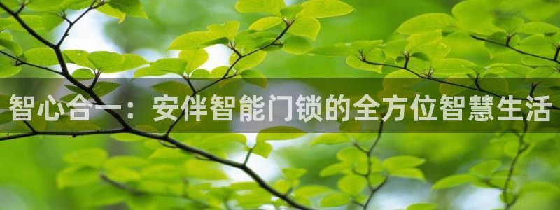 jdb夺宝游戏平台：智心合一：安伴智能门锁的全方位智慧生活