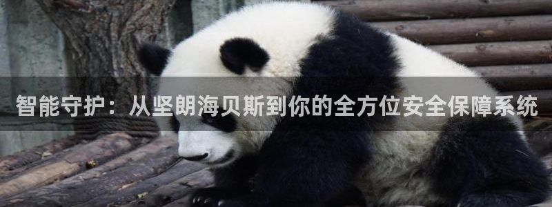 jdb电子网站体验：智能守护：从坚朗海贝斯到你的全方位安全保