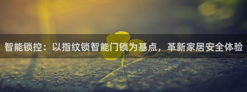 jdb电子游戏官方网站：智能锁控：以指纹锁智能门锁为基点，革