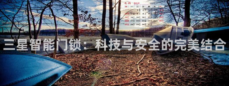 jdb电子平台98db,in：三星智能门锁：科技与安全的完美