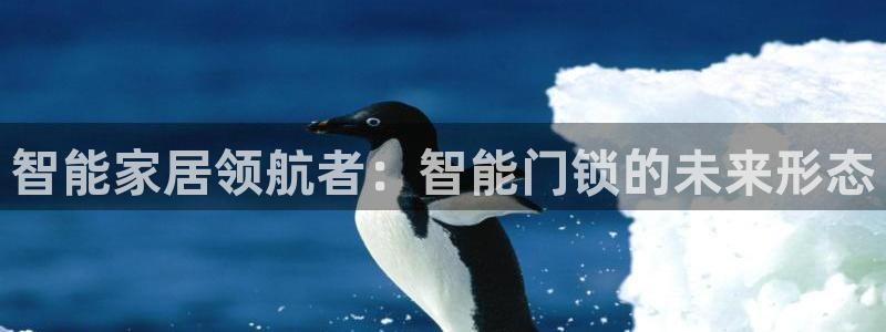 富豪哥游戏jdb：智能家居领航者：智能门锁的未来形态