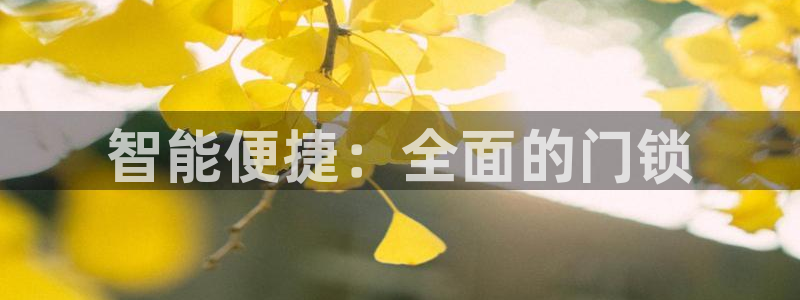 jdb电子马上有钱：智能便捷：全面的门锁