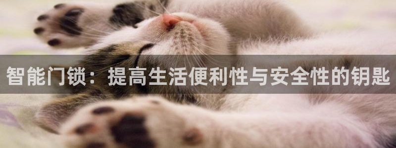 jdb电子厂：智能门锁：提高生活便利性与安全性的钥匙