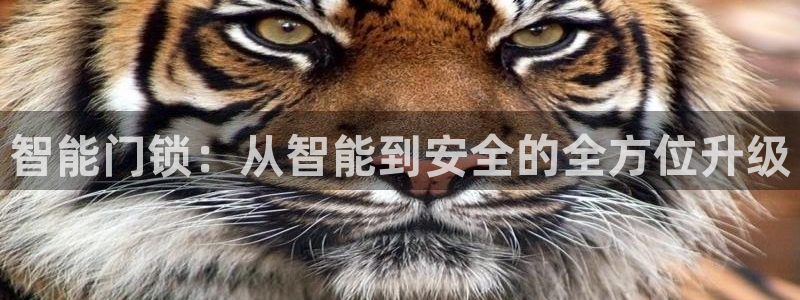 jdb在线平台：智能门锁：从智能到安全的全方位升级