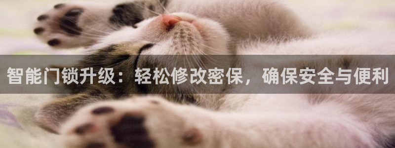 jdb yes：智能门锁升级：轻松修改密保，确保安全与便利