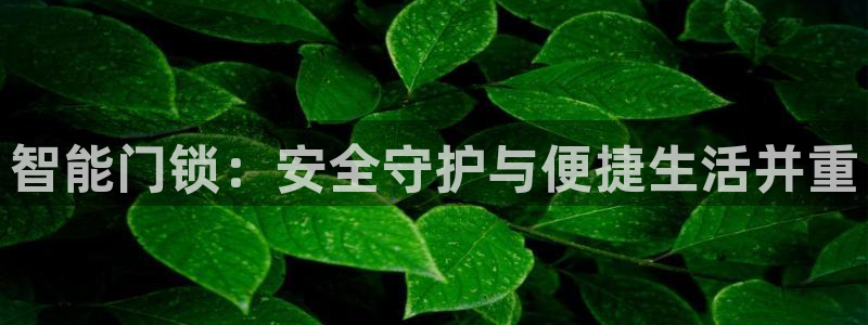jdb游戏飞鸟排队一般几点最好玩：智能门锁：安全守护与便捷生